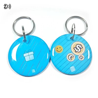 Personnalisé 13.56MHz Programmable NTAG213 Smart Epoxy Keyfob Tags RFID Tag Chaîne de clés NFC