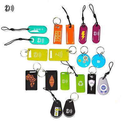 Personnalisé 13.56MHz Programmable NTAG213 Smart Epoxy Keyfob Tags RFID Tag Chaîne de clés NFC
