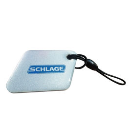 LF étanche à l'eau T5577 RFID époxy Tag personnalisé porte-clés réécrivable 125 KHz