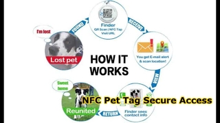 Médaille RFID époxy pour animaux de compagnie